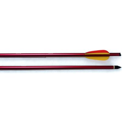 Ek ARCHERY 2219 hliníkový šíp 430 RED – Hledejceny.cz