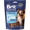 Pamlsek pro psa BRIT Premium by Nature SM Snacks Lamb 180 g