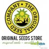 Semena konopí Original Sensible Seeds Auto Super Skunk semena neobsahují THC 5 ks