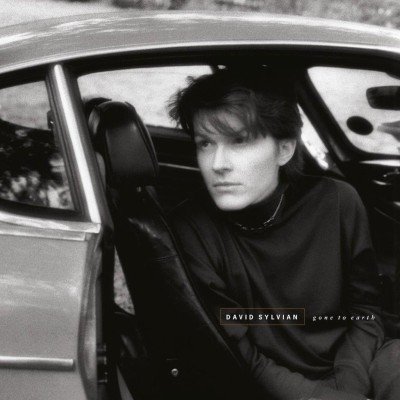 Sylvian David - Gone To Earth LP – Zbozi.Blesk.cz