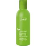 Ziaja regenerační kondicionér výživa na suché vlasy Oliva 200 ml – Zboží Dáma
