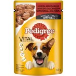 Pedigree s hovězím & králičím masem 100 g – Zboží Mobilmania