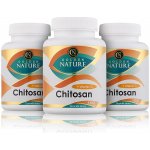 Golden Nature Chitosan + Vitamin C 300 kapslí 2+1 – Hledejceny.cz