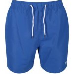Regatta pánské koupací šortky Mawson SwShort II RMM011 – Sleviste.cz