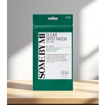 Some By Mi 30 Days Miracle Clear Spot Patch hojivé náplasti na pupínky 18 ks – Zboží Dáma