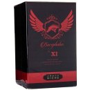 Armaf Bucephalus No. XI parfémovaná voda pánská 100 ml