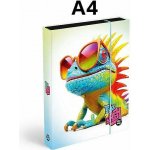 Karton P+P A4 Jumbo Chameleon 1-46725 – Zbozi.Blesk.cz
