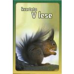 Kvarteto: V lese – Zboží Dáma