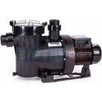 Astralpool VICTORIA PLUS SILENT 16 m³/h / 230 V – Hledejceny.cz