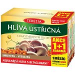 Terezia Hlíva s rakytníkovým olejem 60 kapslí + 60 kapslí – Hledejceny.cz