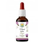 Salvia Paradise Maral - Leuzea AF tinktura 50ml – Hledejceny.cz