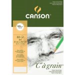 Canson C à grain Dessin A4 125g 30 archů kroužková vazba – Sleviste.cz