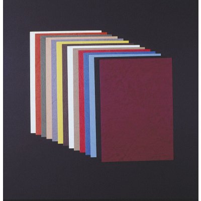 Eurosupplies vázací kryty kartónové Delta A4 imitace kůže zelený 100 ks – Zboží Živě