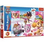 Trefl Paw Patrol Tlapková patrola Skye v akci 16368 100 dílků – Zbozi.Blesk.cz