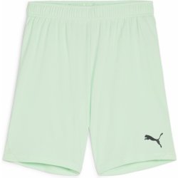 Puma teamGOAL Shorts Jr 705753-60