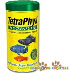 Tetra Phyll 1 l – Zboží Mobilmania