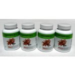 Myco Medica Cordyceps CS4 4 x 90 kapslí – Hledejceny.cz
