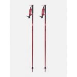 LINE Pin Tom Wallisch 2024/25 – Sleviste.cz