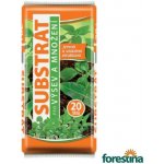 Forestina Standard Substrát pro výsev a množení 20 l – Zboží Dáma