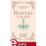 Rozinky v blátě - Dva tucty střepů - David Jan Novotný – Hledejceny.cz