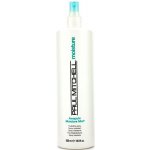 Paul Mitchell Moisture Awapuhi Moisture Mist 500 ml – Zbozi.Blesk.cz