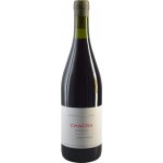Bodega Chacra Treinta y Dos Pinot Noir 2023 Červené 13.0% 0.75 l (holá láhev) – Hledejceny.cz