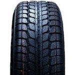 Dunlop Winter 205/55 R16 91H | Zboží Auto