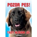 Grel Tabulka pozor pes leonbergr – Zboží Mobilmania