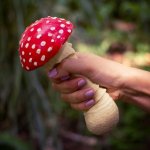 Antistresový hřib muchomůrka – Hledejceny.cz