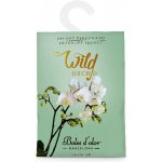 Boles D´olor Vonný sáček velký papírový 12 x 17 x 0,3 cm Wild Orchid – Zboží Dáma