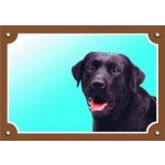 Dafiko Tabulka labradorský retriever černý – Zboží Mobilmania