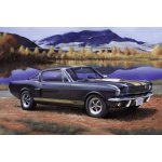Revell 07242 Shelby Mustang GT 350 H model auta stavebnice 1:24 – Zboží Dáma Revell 07242 Shelby Mustang GT 350 H model auta stavebnice 1:24 – Zboží Dáma