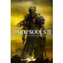 Hra na PC Dark Souls 3 (The Fire Fades Edition)