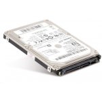 Seagate Momentus SpinPoint M8 1TB, ST1000LM024 – Hledejceny.cz