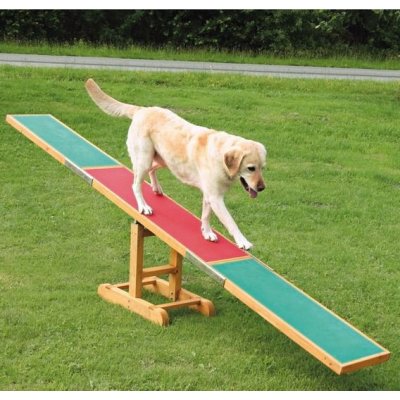 Agility překážka pro psy, houpačka 300 x 34 x 54 cm – Hledejceny.cz