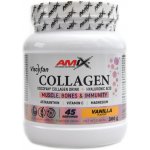 Amix Viscofan Collagen drink vanilla 300 g – Hledejceny.cz