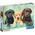 Clementoni Tři labradoři HQC 1000 dílků – Hledejceny.cz