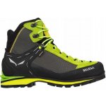 Salewa MS Crow GTX Cactus Sulphur Spring – Hledejceny.cz