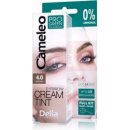 Delia Cosmetics Cameleo krémová profesionální barva na obočí 4.0 Brown 15 ml