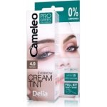 Delia Cosmetics Cameleo krémová profesionální barva na obočí 4.0 Brown 15 ml – Zbozi.Blesk.cz