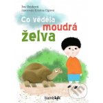 Co věděla moudrá želva - Iva Gecková, Kristina Cigrová – Hledejceny.cz