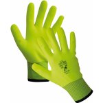 CERVA TURTUR – HobbyKompas.cz