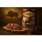 Carnilove Wild Meat Lamb & Wild Boar 400 g – Hledejceny.cz