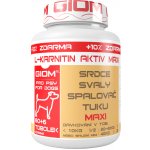 Giom L-karnitin Aktiv Maxi 60 tbl – Hledejceny.cz