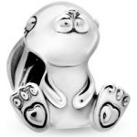 Pandora 798763C00 – Sleviste.cz