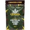 Květy konopí CBWEED Critical Mass CBD 0,3 % THC 2 g