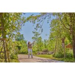GARDENA Nůžky na větve StarCut Pro L 12081-20 – Zbozi.Blesk.cz