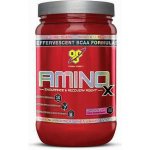 BSN Amino-X 1010 g – Hledejceny.cz