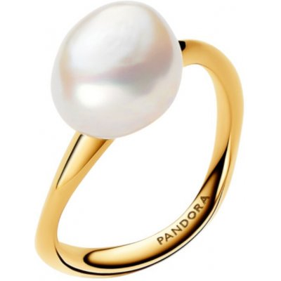 Pandora 163293C01 – Zboží Mobilmania