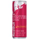 Red Bull Winter edition 250ml – Zboží Mobilmania